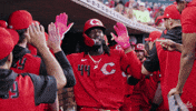 Celebration Baseball GIF by Cincinnati Reds