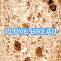 BREAD BRED BREAD