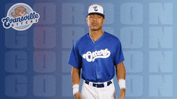 Lets Go Baseball GIF by Evansville Otters
