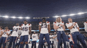 Football Nfl GIF by New England Patriots