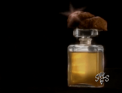 Snuls giphygifmaker pub parfum caca GIF