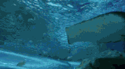 GIF by Space