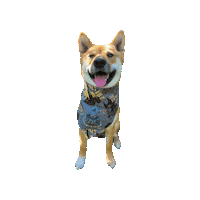 Shiba Inu Disney Sticker by Geekster Pets