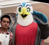 universidadveracruzana amor mexico hola arte GIF