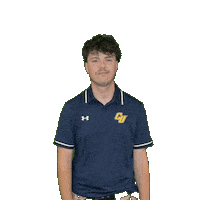 Clarke Golf Sticker by Clarke University