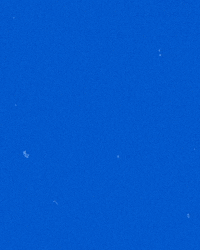 riverhawknation ncaa river hawks america east uml GIF