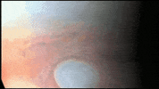 GIF by NASA