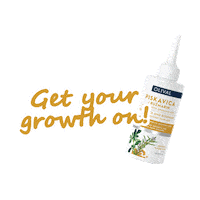 Refresh Delight Sticker by Olival Cosmetics