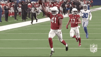 Kenyan Drake Football GIF by NFL