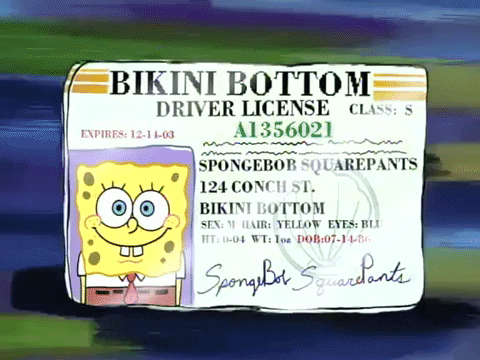 season 1 sleepy time GIF by SpongeBob SquarePants - Find & Share on GIPHY