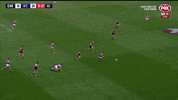 2018 season football GIF by AFL