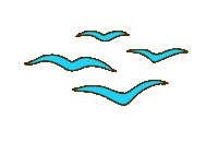 Lost Paradise Australia Sticker by Finely Tuned