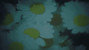 Turn Around Love GIF by Nina Nesbitt