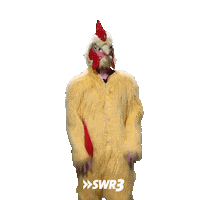 No Idea Idk Sticker by SWR3
