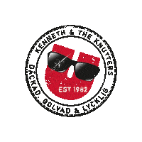 kennethandtheknutters sunglasses 1982 new album kenneth Sticker