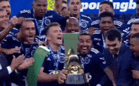 Futebol Cruzeiro GIF by O Maior de Minas