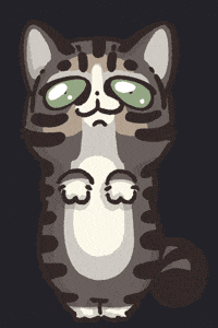 Cat Hello GIF