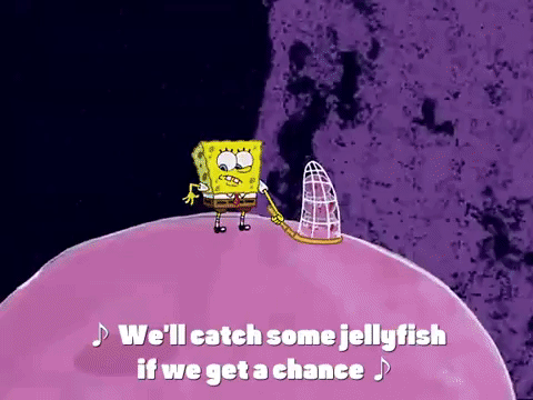 season 3 GIF by SpongeBob SquarePants