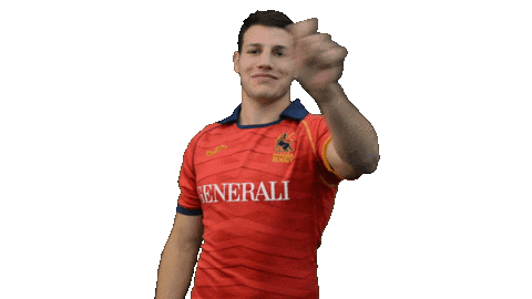Fer Leones Sticker by FERugby