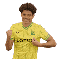 Premier League Soccer Sticker by Norwich City Football Club