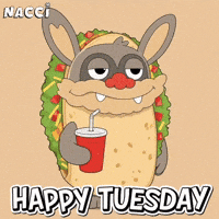 Tuesday Morning GIF