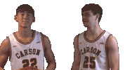 Cnmb Sticker by Carson-Newman Athletics
