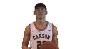 Cnmb Sticker by Carson-Newman Athletics