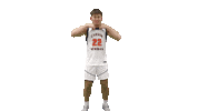 Cnmb Sticker by Carson-Newman Athletics