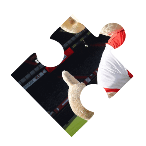 Puzzle Sticker by Feyenoord Rotterdam N.V.