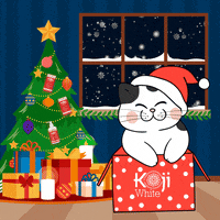 kojiwhite happy cat party excited GIF