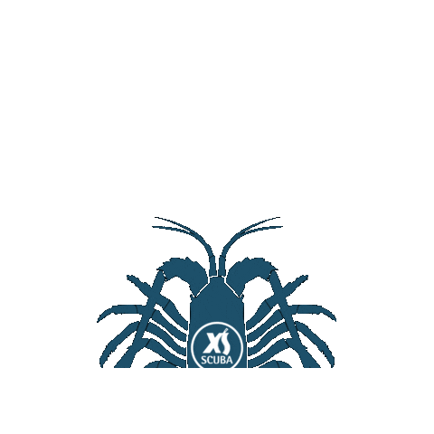 Gloves Sticker by XS Scuba