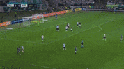 america-mg GIF by SE Palmeiras