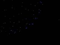 season 2 GIF