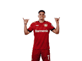 Bayer 04 Win Sticker by Bayer 04 Leverkusen