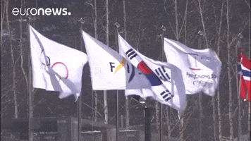 winter olympics flag GIF by euronews