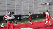 cincinnati bearcats dancing GIF by University of Cincinnati Athletics