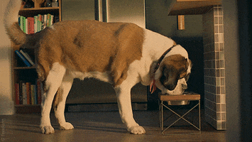 Tv Show Drinking GIF by Everything's Gonna Be Okay