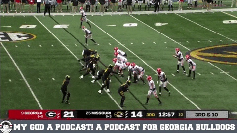 jaredsmola giphygifmaker GIF