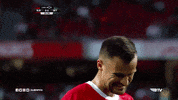Frustrated Oh No GIF by Sport Lisboa e Benfica