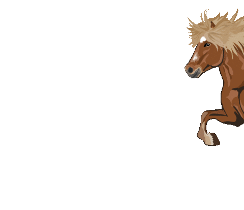 Easyflix giphyupload horse horses pony Sticker
