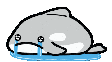 Orca Sticker