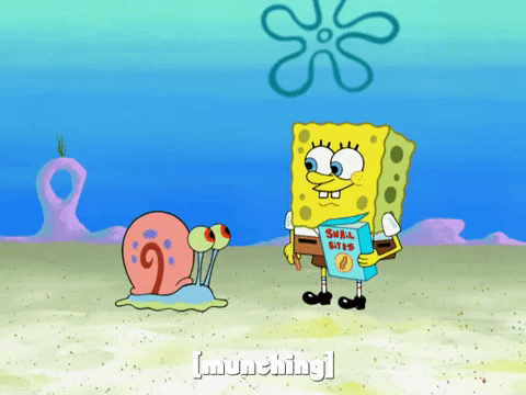 season 8 episode 22 GIF by SpongeBob SquarePants