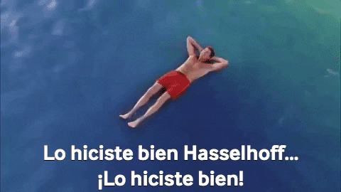 scrapperman giphygifmaker spongebob squarepants bob esponja david hasselhoff GIF
