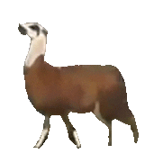 Meme Jumping Sticker by Miriam Ganser