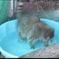 happy today GIF by The Videobook
