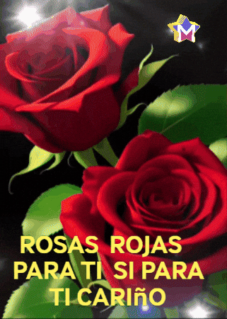 Para Ti Feliz GIF by Murcianys LLC