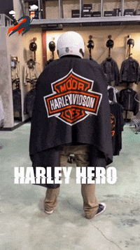 Quaidhd batman superhero hero superman GIF