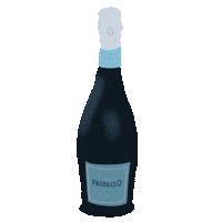 sociallightdesign birthday orange fruit champagne Sticker