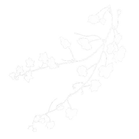 Flower Boho Sticker