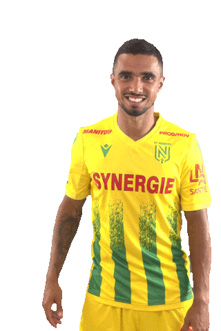 Ligue 1 Football Sticker by FCNantes